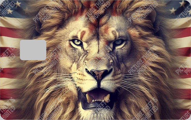 Bank  Card Sticker-BC-44